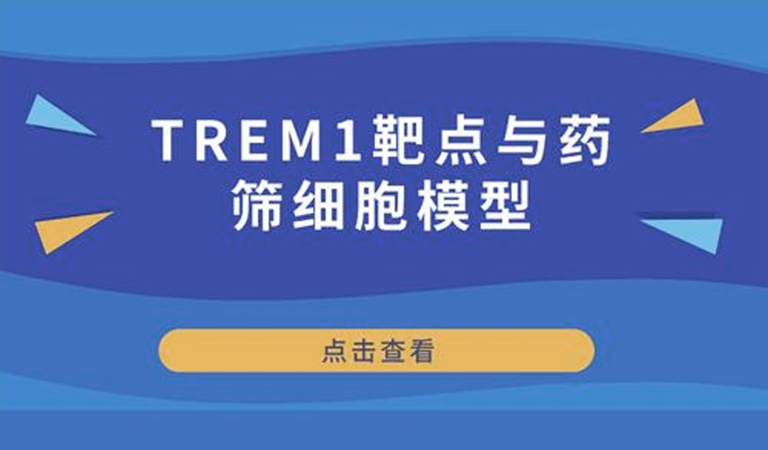 先驅(qū)還是先烈-TREM1靶點與藥篩細(xì)胞模型